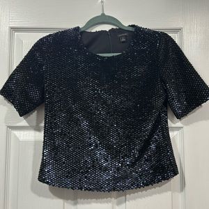 Ann Taylor sequin velvet top